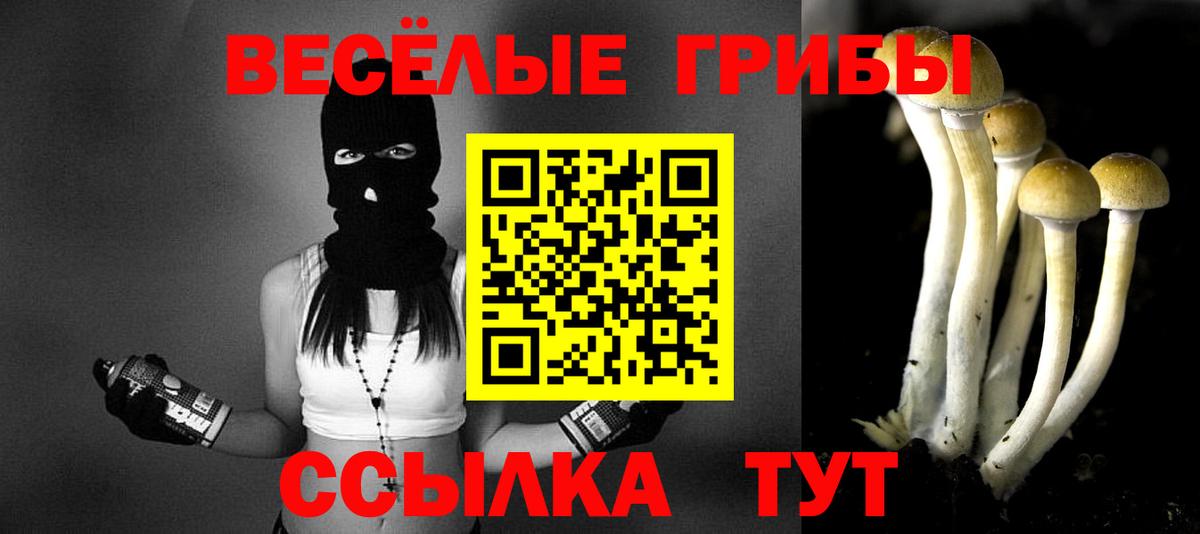 Галлюциногенные грибы Psilocybe  Вход с VPN  Губкинский  Псилоцибиновые грибы мухоморы 