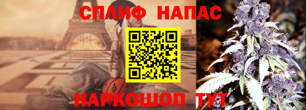 Марихуана гибрид Губкинский